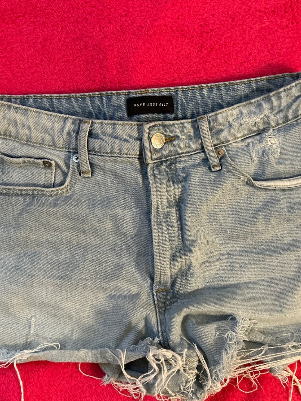 Free Assembly Distressed Denim Shorts